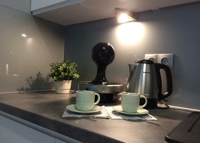 Lm Mariacka Stare Lejlighed